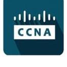 CCNA logo