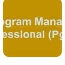 PMI-PGMP logo